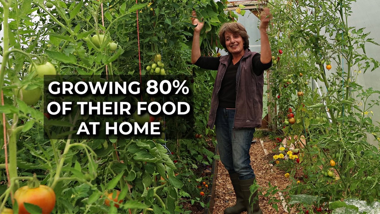 Incredible Abundance in a Small Garden | Self-sufficiency on a Small Scale Homestead