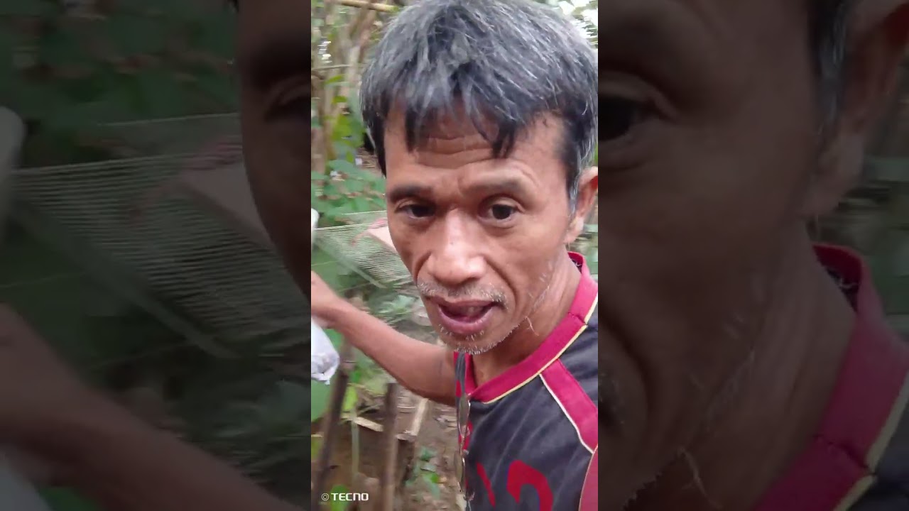  magpakain Tayo mga alagaj@Mike kadayovlog.