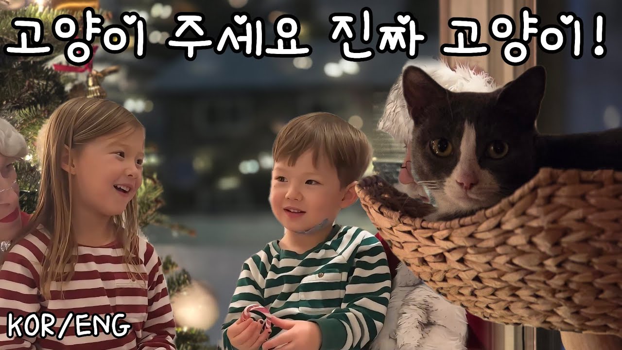 산타가 진짜로 고양이를 선물로 보내왔을때 아이들의 반응은 과연?! 🥰 Feat. 스픽
