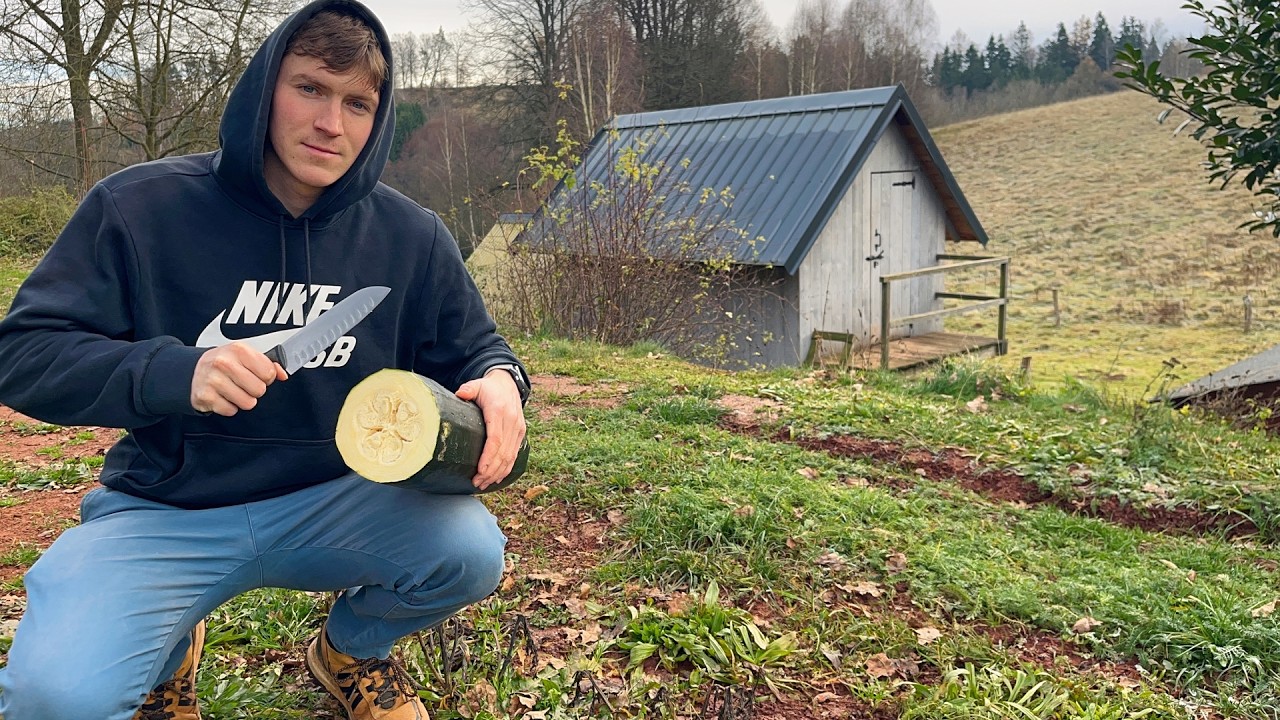 A Week on Our Small Farm – 40kg Honey, Egg Collecting & Cows