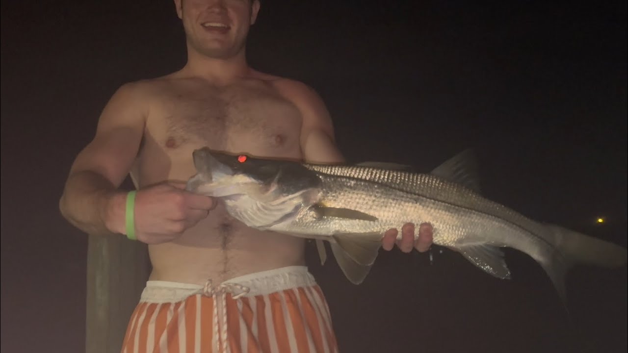 Jupiter Fl, Intercoastal Dock Fishing, And Shark Fishing!!!!