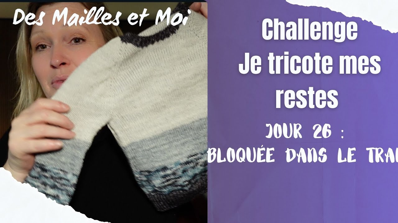 Tricot ses restes jour 26 : bloquée dans le train !  #tricotaddict  #tricot #tricoteuse #vlogtricot