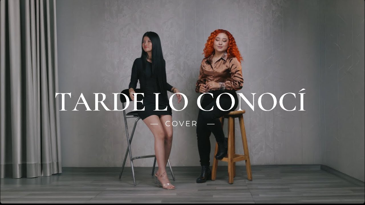 TARDE LO CONOCÍ- (COVER) 