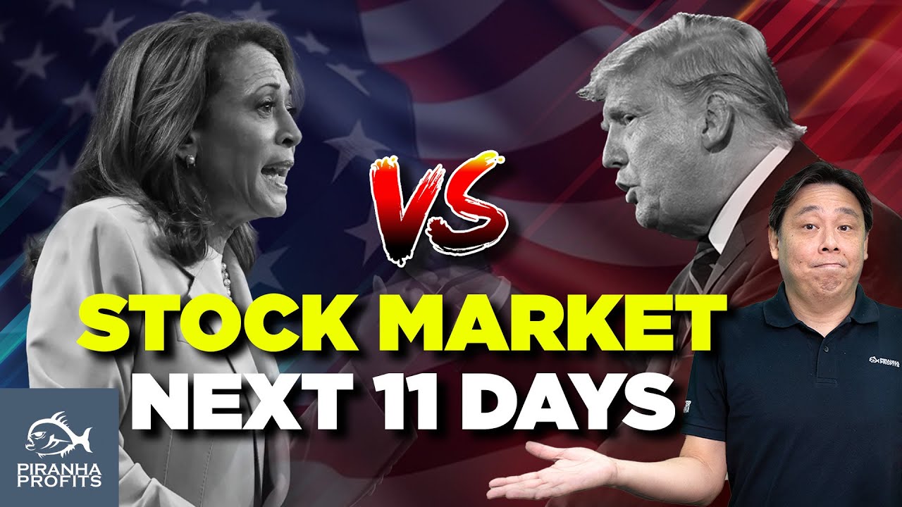 Stock Market Next 11 Days