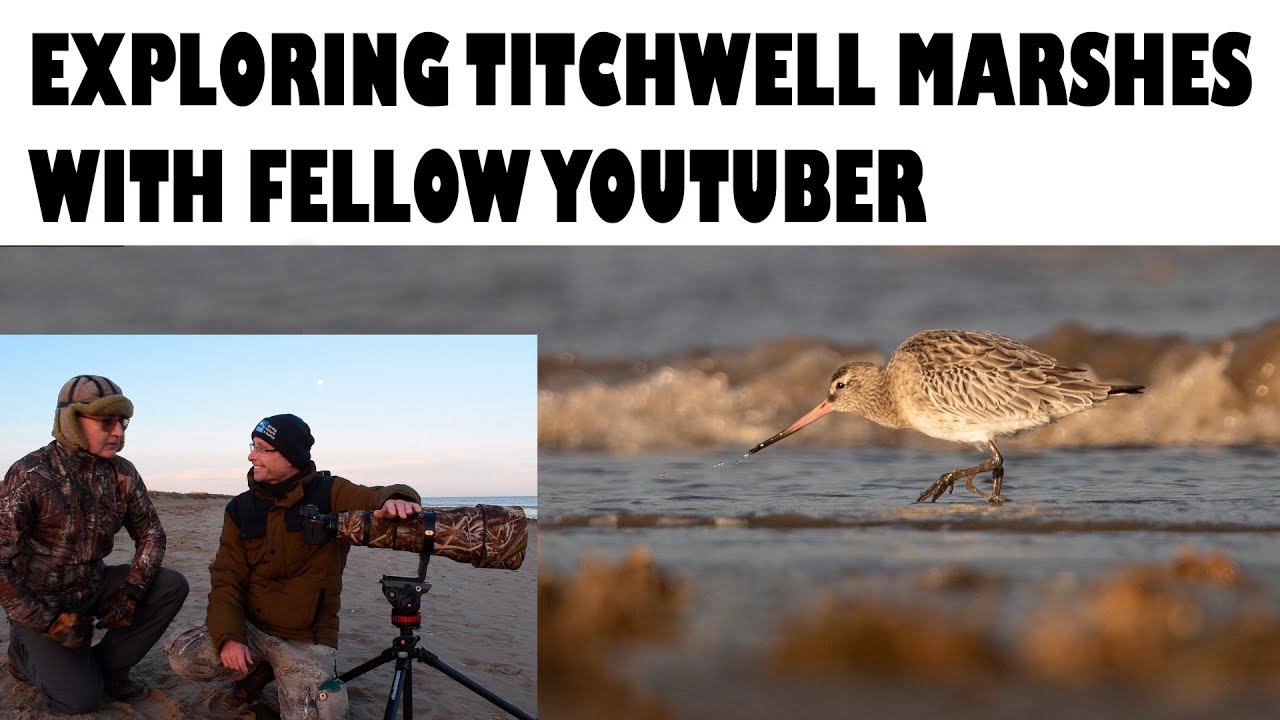 EXPLORING TITCHWELL MARSHES with fellow YouTuber.