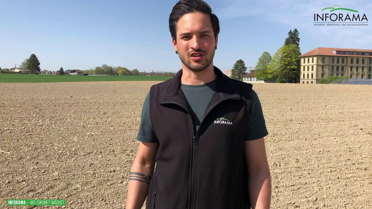 Pflanzenbau on-screen: Erdfloh bei Zuckerr&uuml;ben