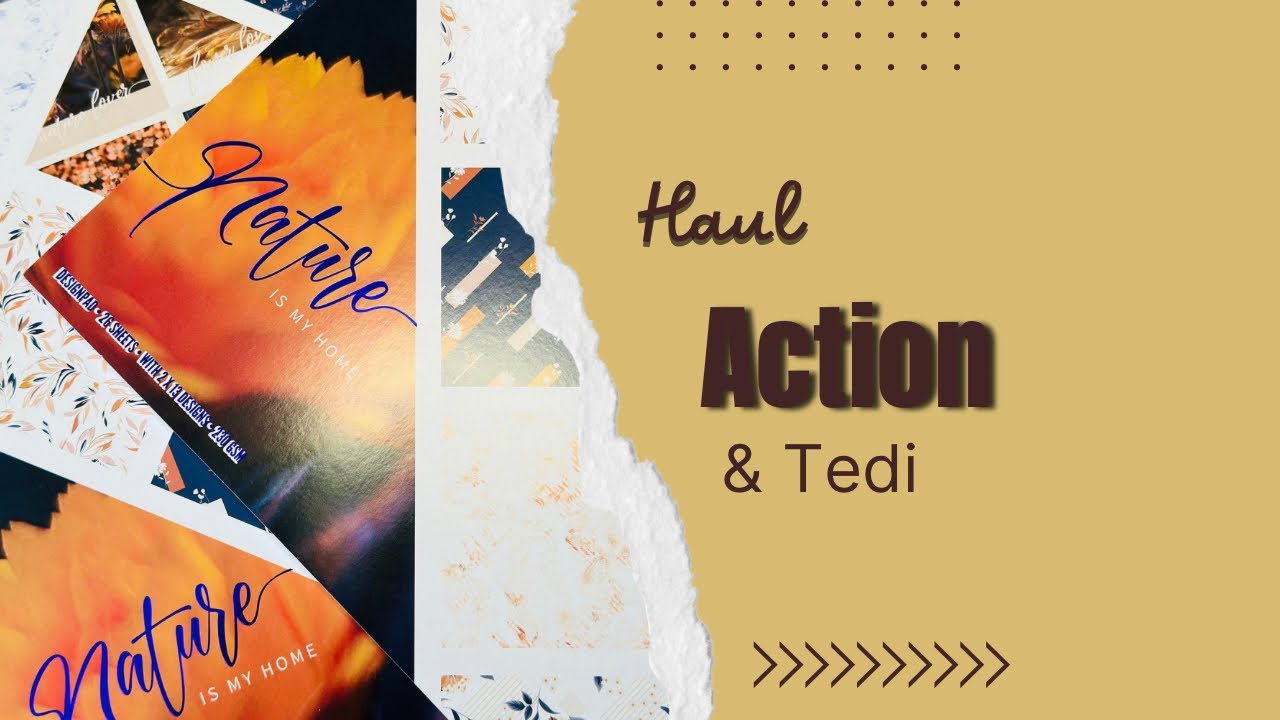 Haul !! Action !! Et Tedi!!  un nouveau bloc une pépite #action #tedi #haul