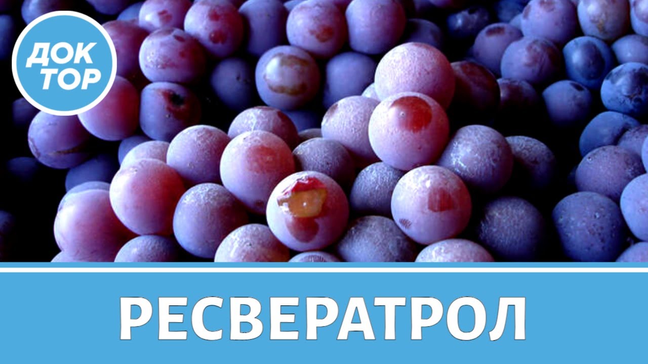 Что такое ресвератрол и зачем он нужен / Дело вкуса