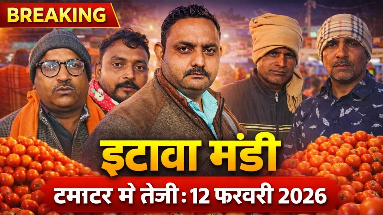 इटावा मंडी में टमाटर के दाम में जबरदस्त तेजी 🔥 | 12 फरवरी 2026 | आज का ताज़ा भाव