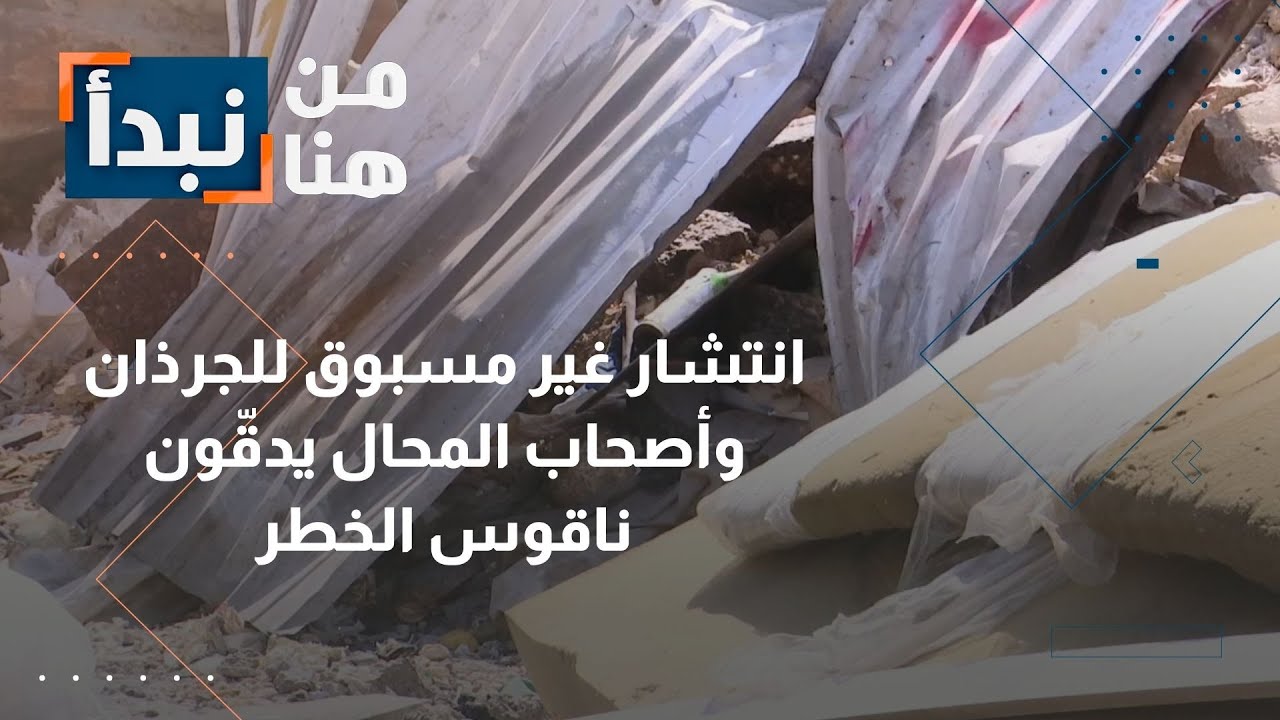 الجرذان تغزو الصويفية وتغلق أحد الشوارع.. وأصحاب المحال يدقون ناقوس الخطر