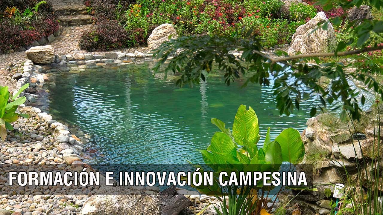 Formación e innovación campesina - TvAgro por Juan Gonzalo Angel Restrepo