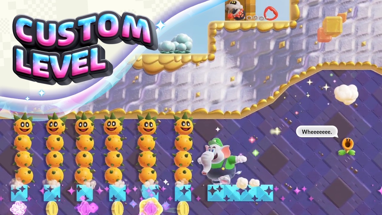 Super Mario Bros. Wonder Custom Level - 
