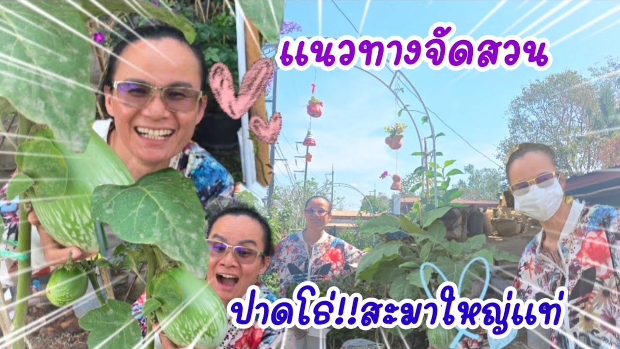 เท่าลูกมะเขือลุง...ของจองไว้ก่อนได้ไหม#ป้าแต๋นชาเเนล 