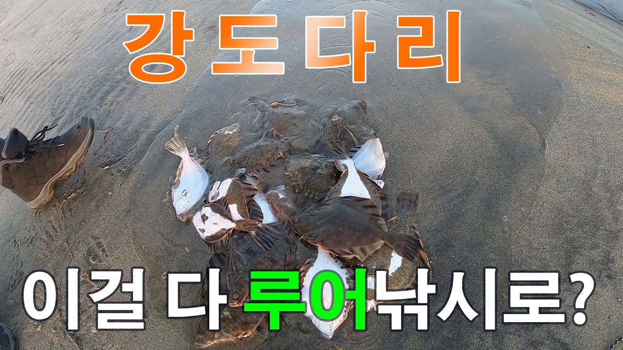 [3화] 쉽고 재미있는 도다리 루어낚시