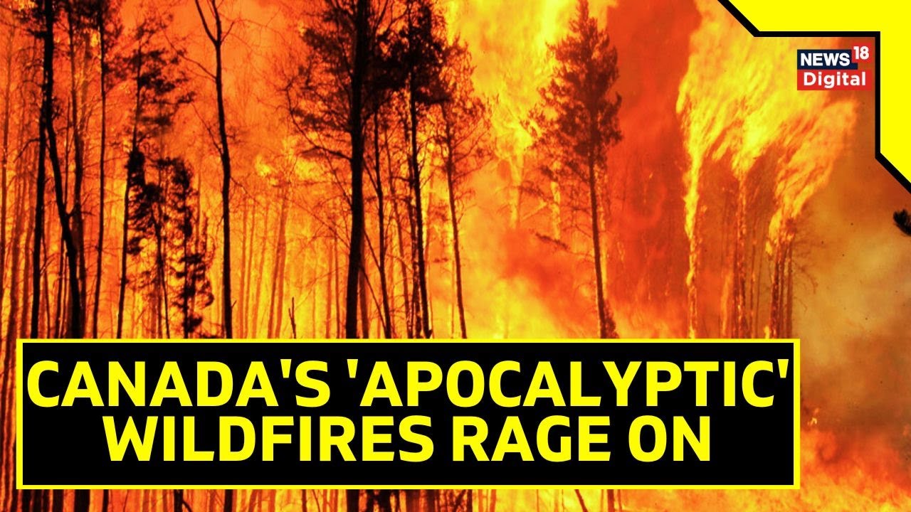 Canada Wildfires 2023 | Wildfire Crisis Hits Multiple Canadian Towns | English News