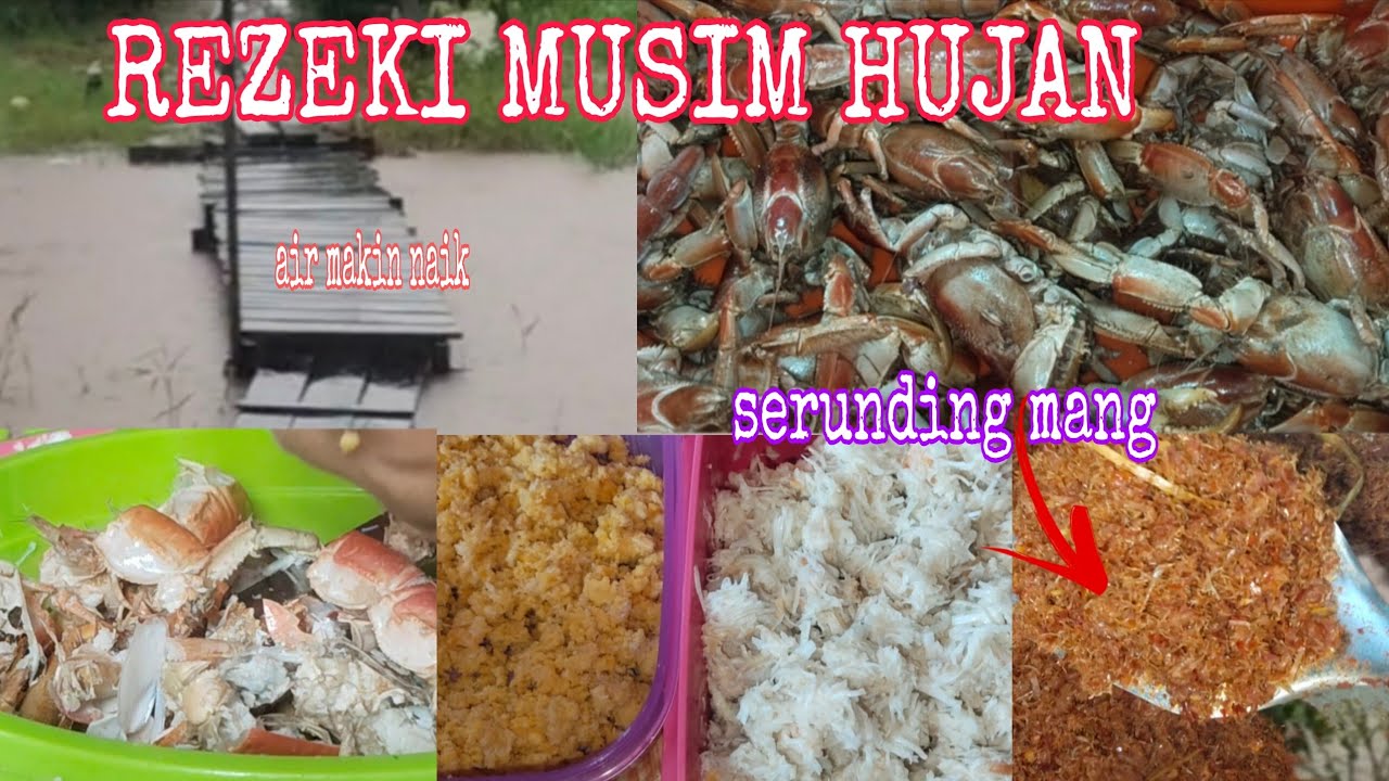 HUJAN BERTERUSAN SAYA BUAT SERUNDING MANG. ALHAMDULILLAH REZEKI MUSIM HUJAN. 