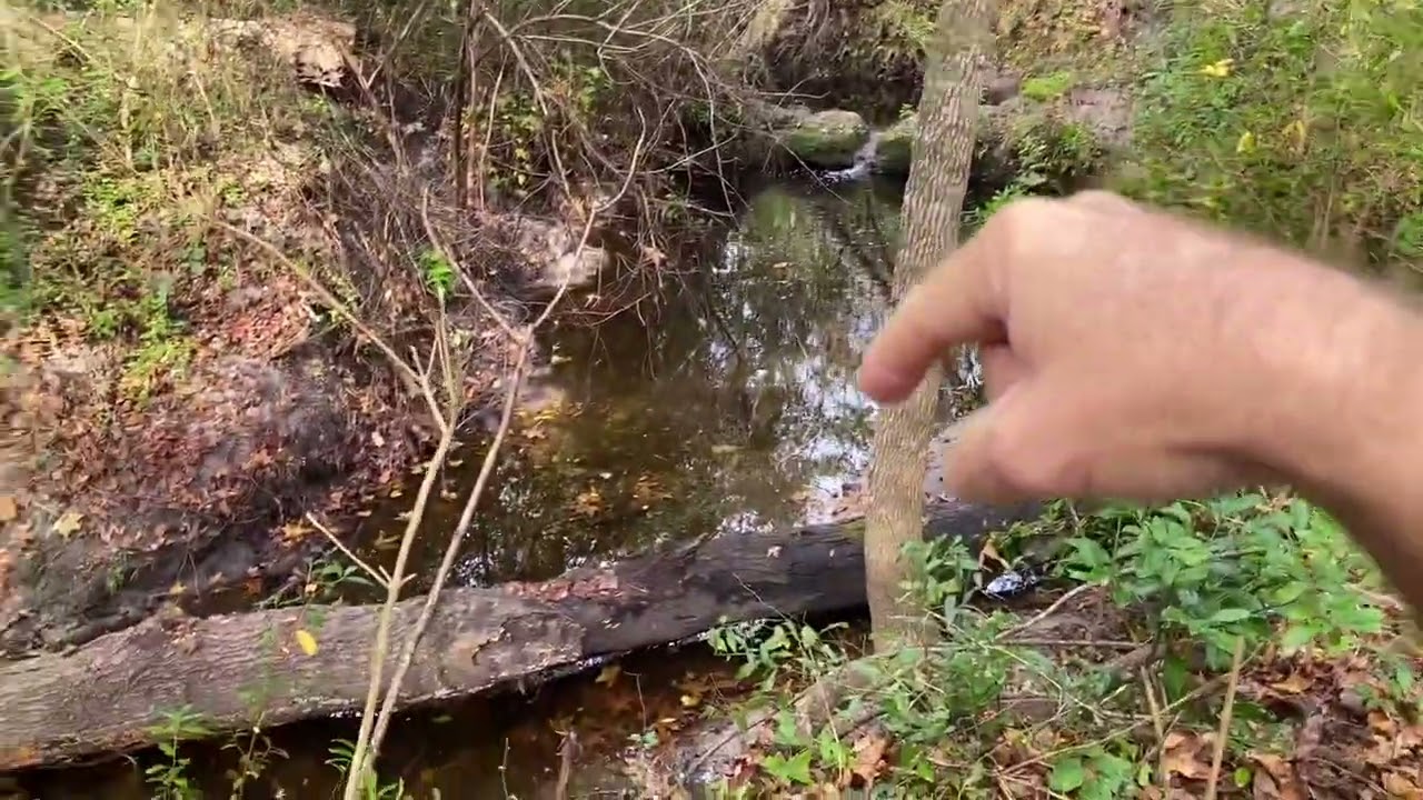 Property Line “Dispute”…