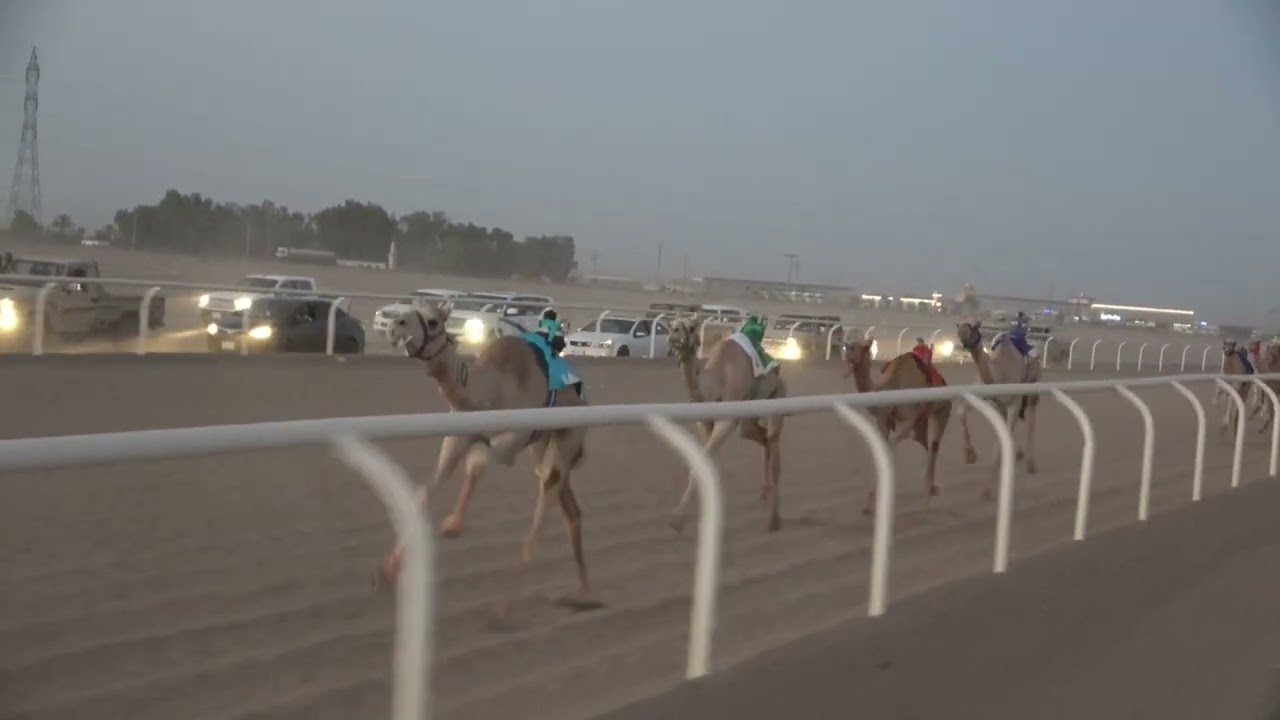 ١  خيره لـ سامي سعود الحويطي