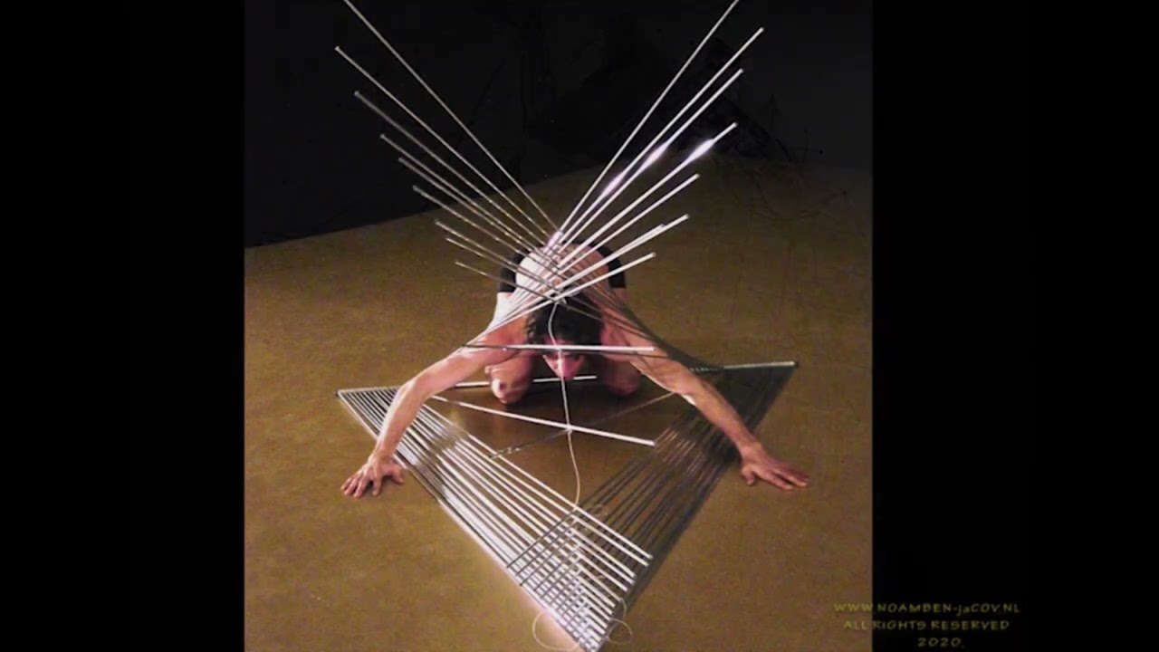 between triangulos & insect
