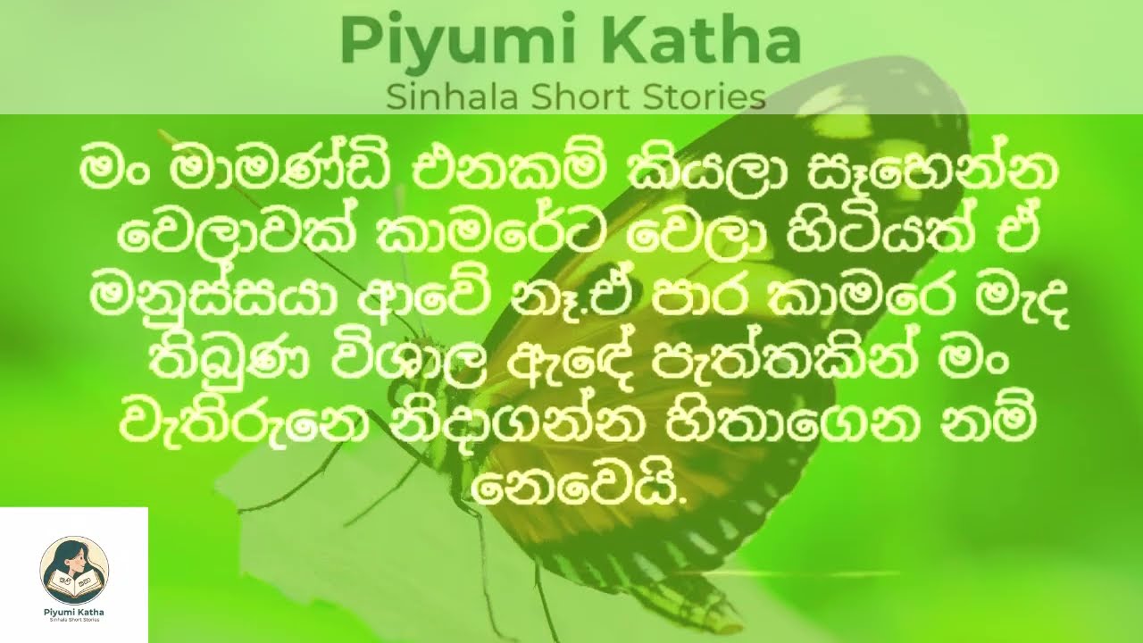 නැන්දම්මා ලේලි ආප්ප සෙල්ලම | #ketikatha #newkatha #sinhalaketikatha #sinhalastory #sinhalakatha