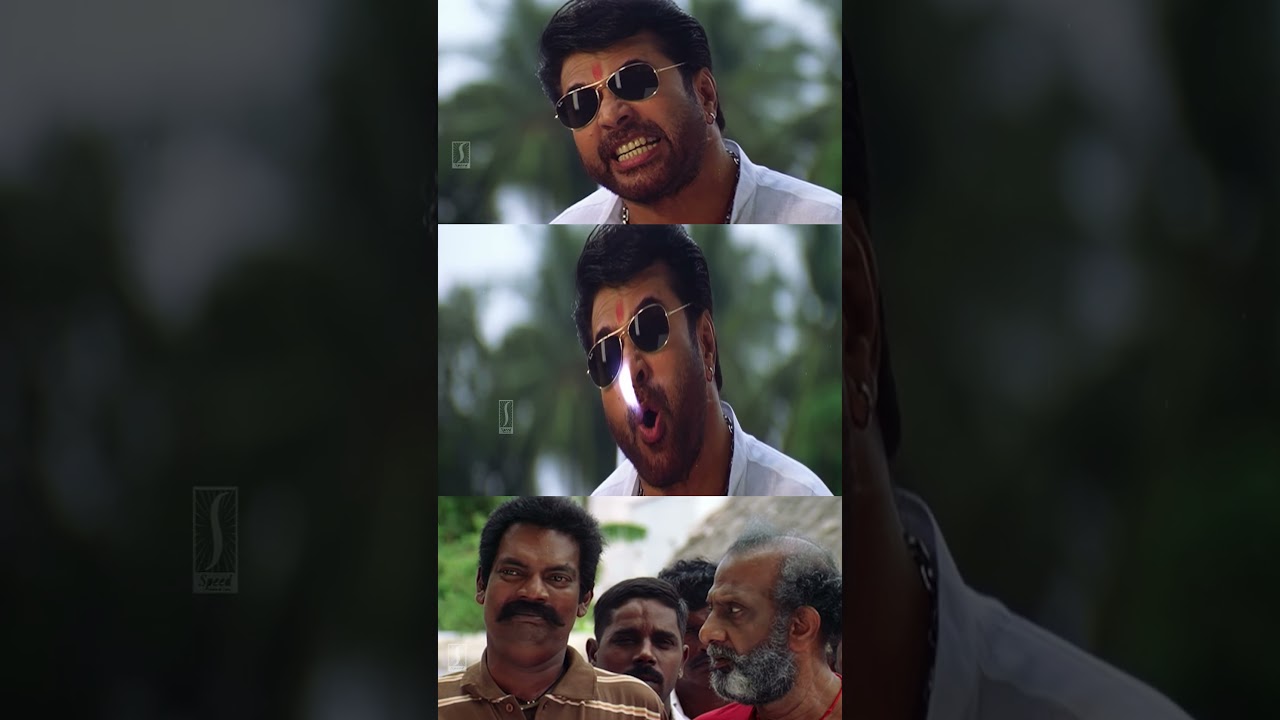 പണ്ഡിതനാണെന്ന് തോന്നുന്നു.. അർഥം പറഞ്ഞത് കേട്ടില്ലേ..!! | Salim Kumar | Mammootty | Malayalam Comedy