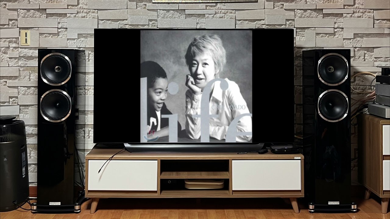 chie ayado - Everything Must Change /speaker recoding