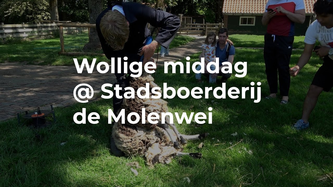 TV Charlois - Wollige middag @ de Molenwei