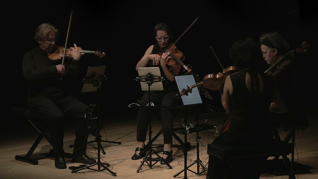Maria Eduarda Mendes Martins - String Theory (2023) Quatuor Bozzini