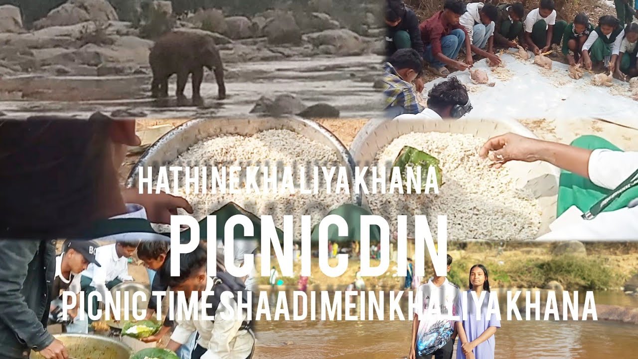 Picnic ke time saat Dhara saat Dhara ka Masti video...🍗🐘😁February 2, 2026