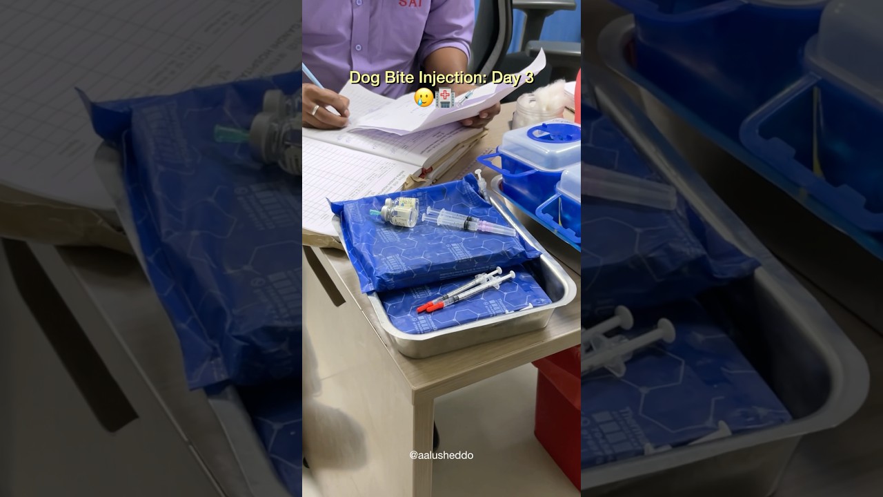 I got a lot of injections 🥲 #minivlog #hospital #injection #new #dog #shorts #youtube #vlog #vlogger