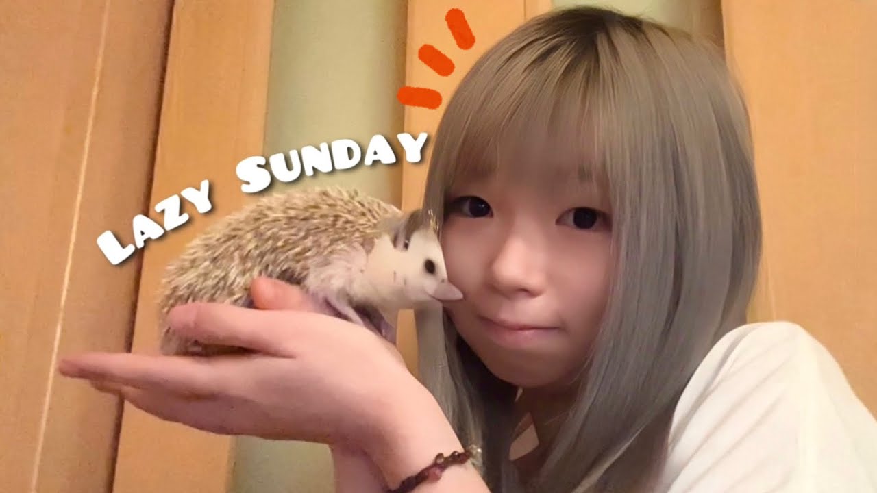 ３５｜Lazy Sunday In My Apartment｜💤