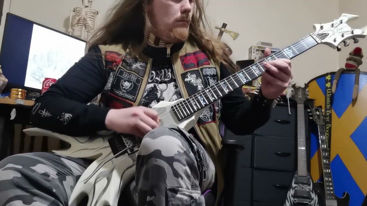 Wolfnacht - Unter den wehenden Schatten { cover }
