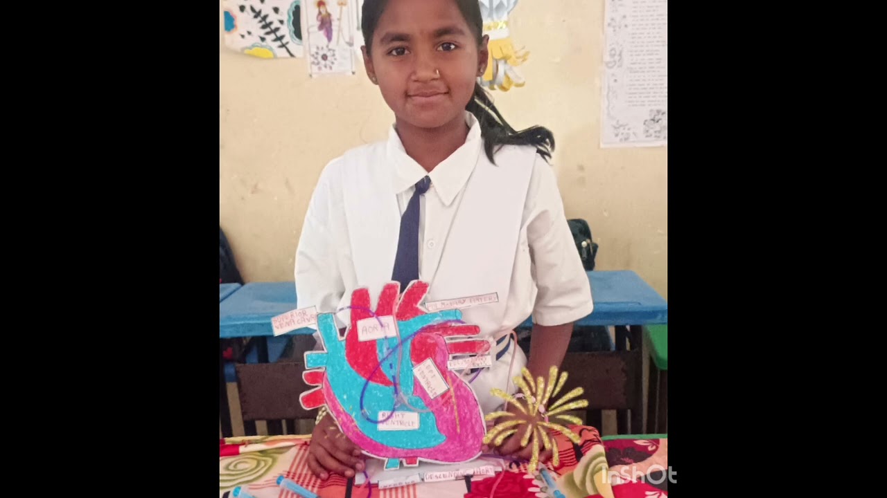 SCIENCE EXHIBITION , Z. P. P. M. SCHOOL MANJARI MHASLA NANDGAON KHANDESHWAR AMRAVATI