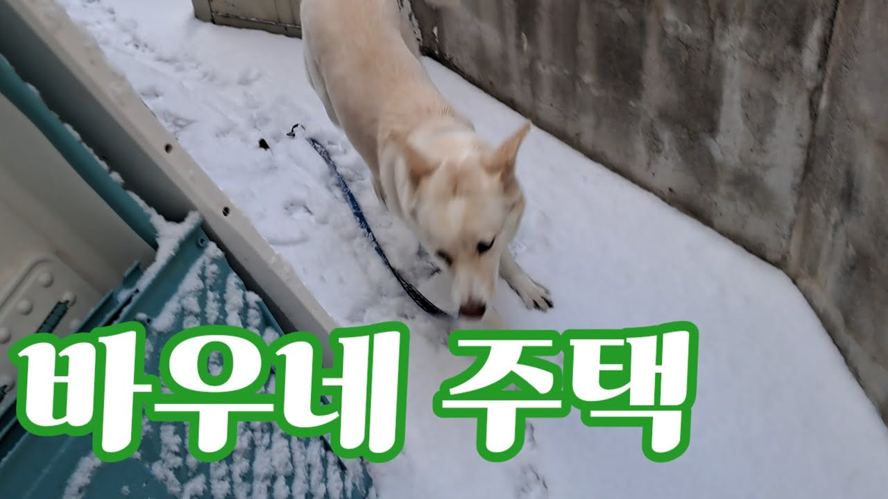 눈 온 날 바우네 주택 풍경과 재개발 주택 구경