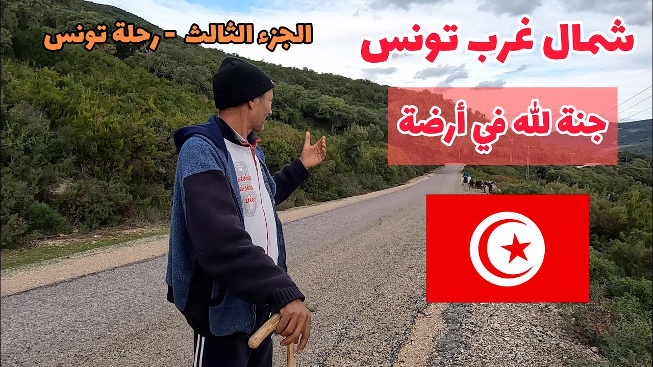 تونس | عين دراهم - بني مطير - بنزرت
