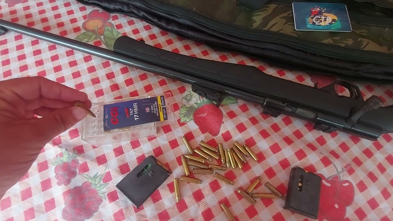rifle 17Hmr e munição rifle de presizao mini fuzil 17Hmr