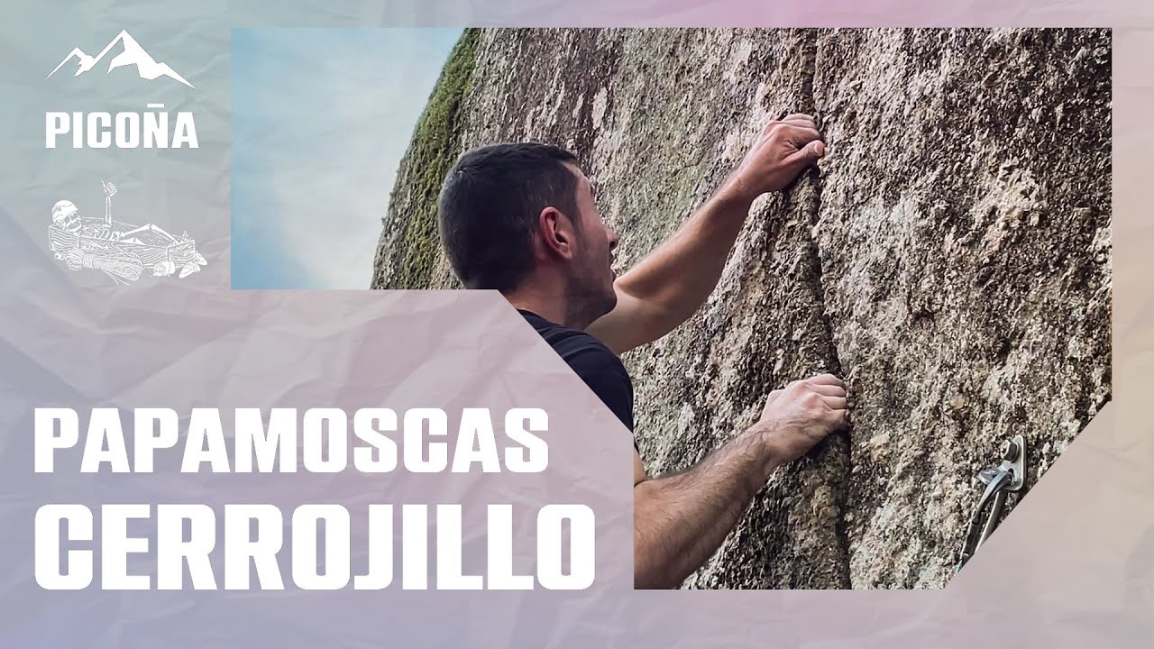 Papamoscas cerrojillo (6c+) | Neopicoña