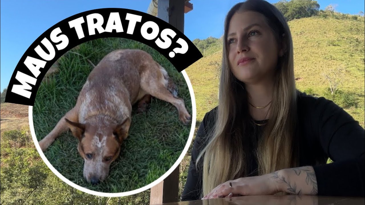 PRECISAMOS DE AJUDA - ISSO É REVOLTANTE | Chácara Vale dos Sonhos | VIDA NA ROÇA