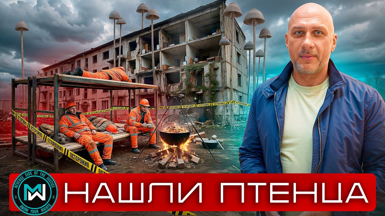 Грибы на стене и кривые новостройки, кто виноват - УК или голуби? Приемка квартиры. 