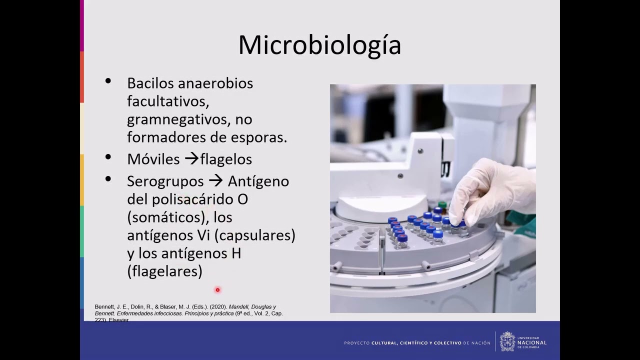 Salmonella spp - posgrado Infectología UNAL