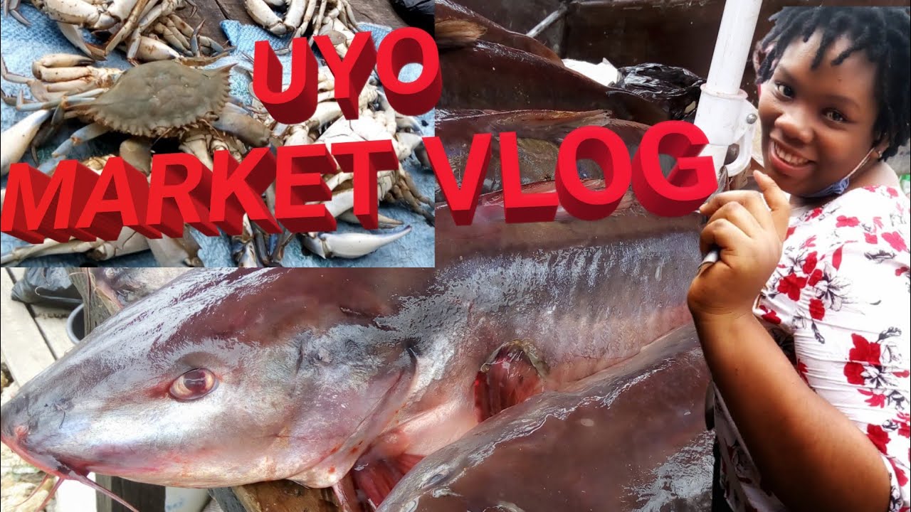 NIGERIA MARKET TOUR (AKPAN ANDEM MARKET, UYO) food shopping || Akwa ibom, Nigeria#ibibiostyle