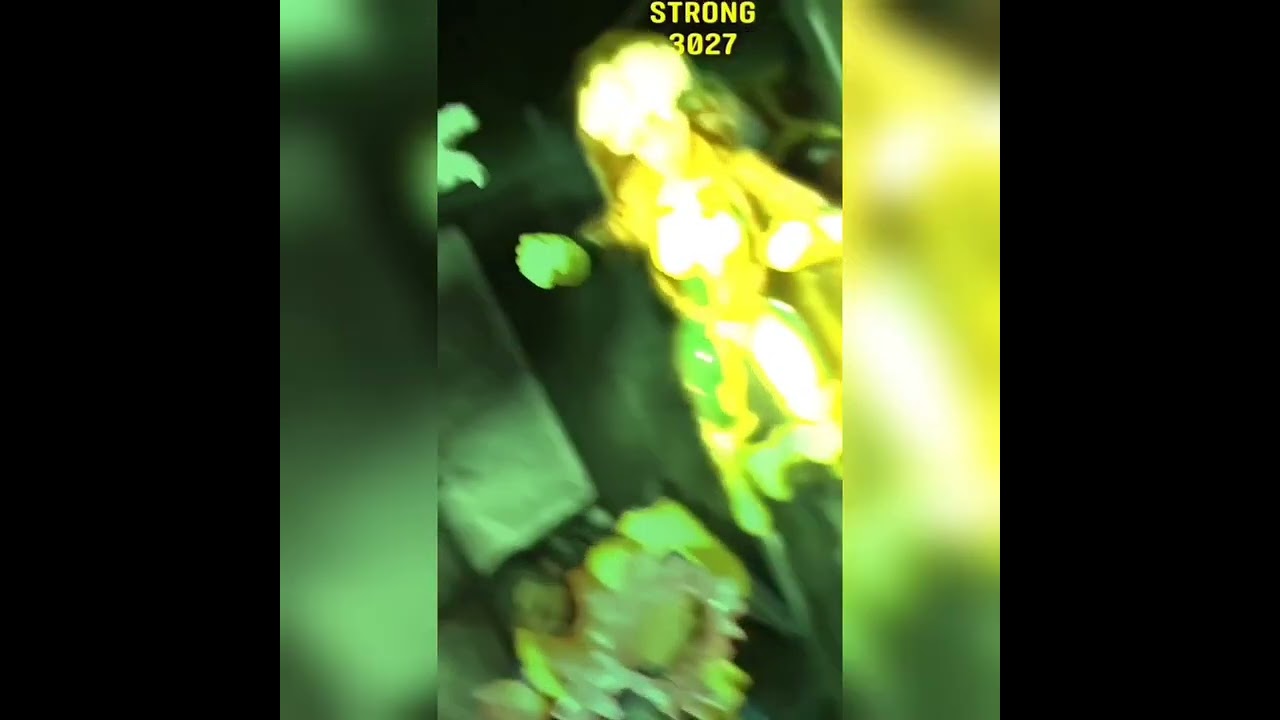 HASLAB DISPLAY FULL CLIP 