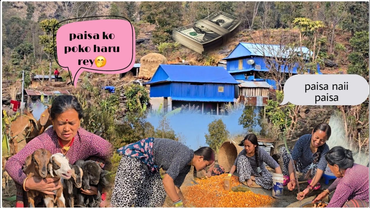 जागर मात्र हुन पर्छ पैसा त गाउँ मा पनि फाला फाल छ यसरी नै बिते मेरा सात दिन सात बार🤭😱