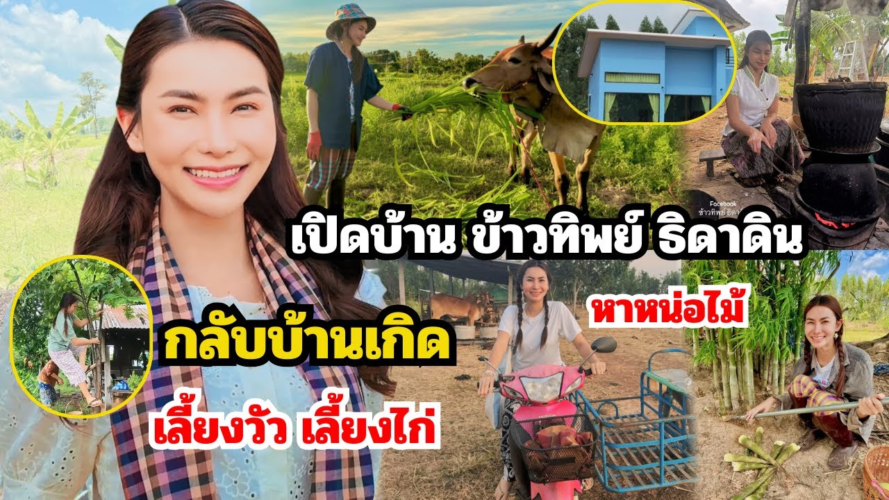 เปิดบ้าน