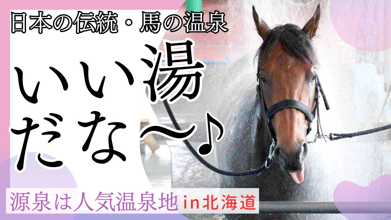 【競走馬の温泉】函館競馬場の温泉施設を取材！ナリタブライアン、カネヒキリも英気養った…気持ち良すぎてコクリコクリと舟をこぐ馬もいるほのぼの空間