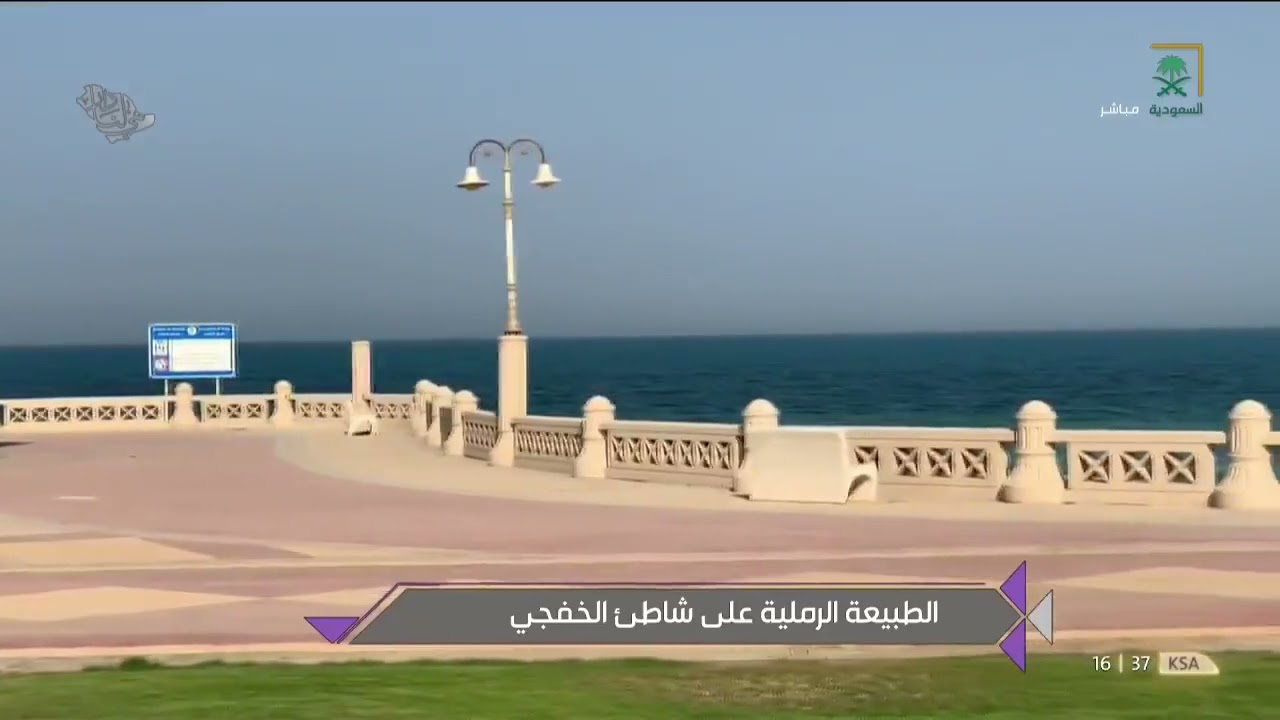 الطبيعة الرملية على شاطئ الخفجي