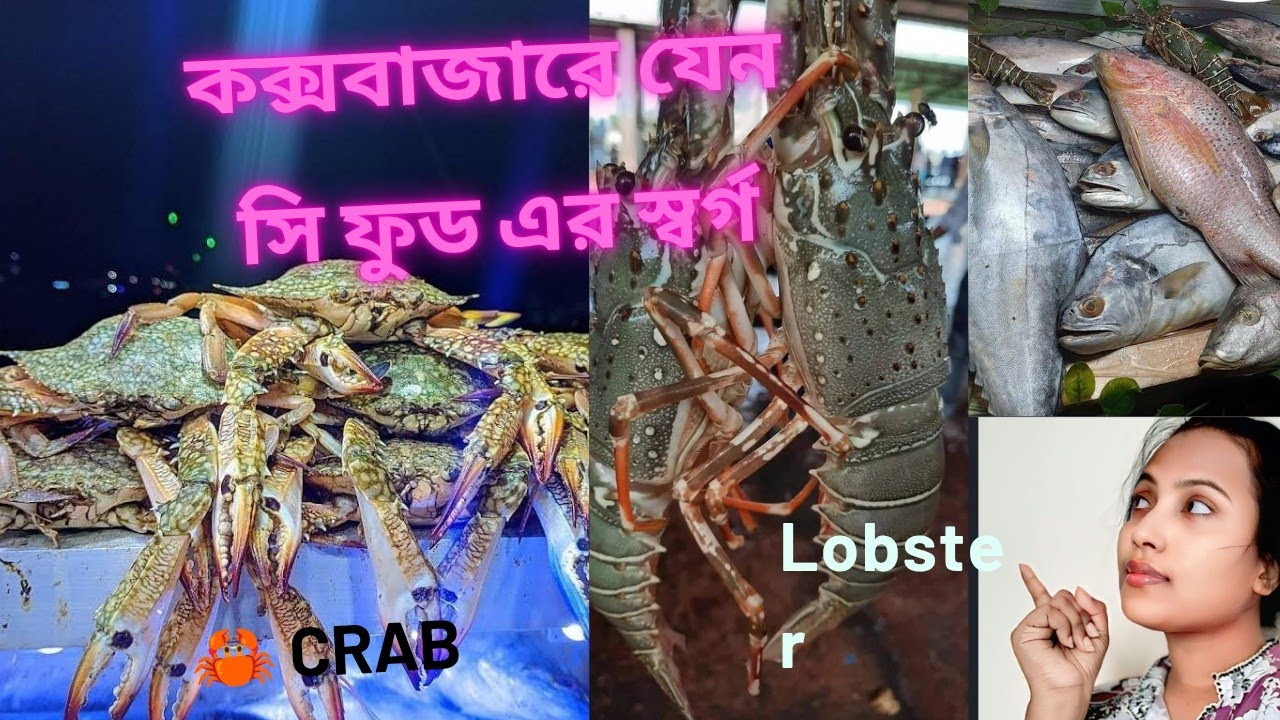 রাতের কক্সবাজার যেন সি - ফুডের স্বর্গ !!!!  #coxsbazar #sea #foods #revealed #2025 !!