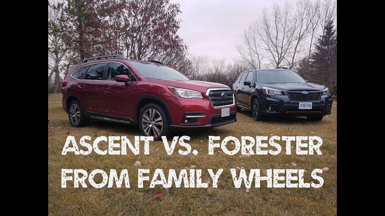2019 Subaru Ascent vs. Forester by Family Wheels