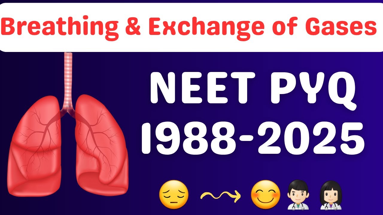Breathing and exchange of gases class 11 one shot neet pyq