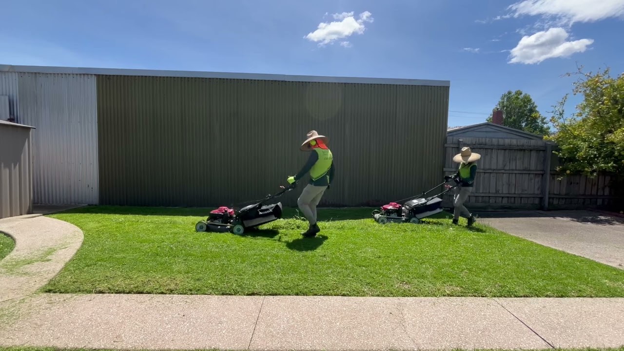 Double Honda Lawn Mow, Blow and Go